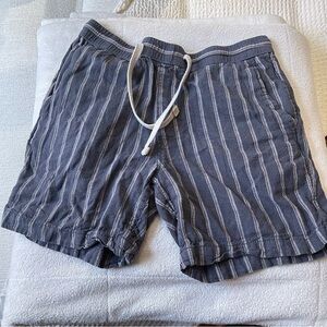 Goodfellow & Co Charcoal Shorts with Light Stripes